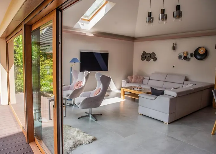 Alesandro 扎科帕内