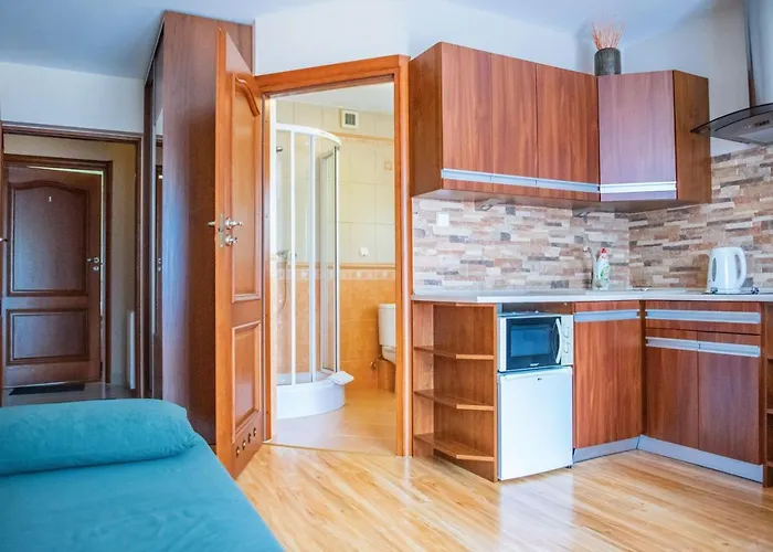 Alesandro 扎科帕内