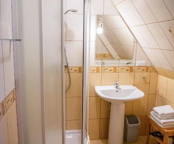 Alesandro 扎科帕内