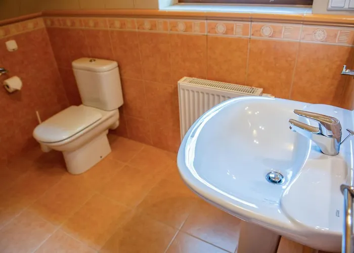 Alesandro 扎科帕内