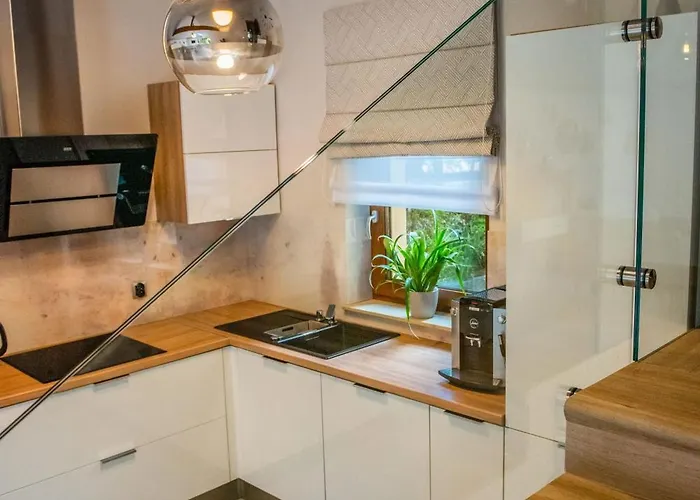 Alesandro 扎科帕内