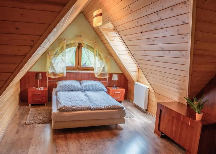 Alesandro 扎科帕内