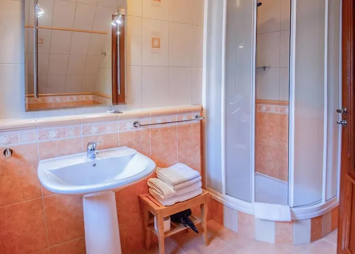 Alesandro 扎科帕内