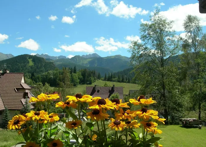 Alesandro * 扎科帕内