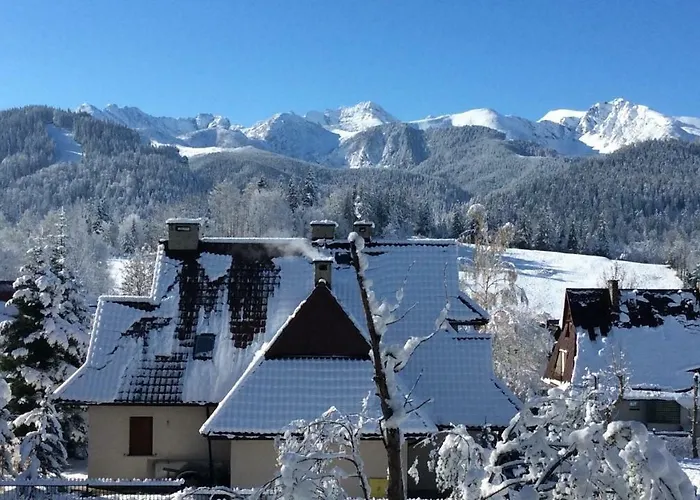 Alesandro 扎科帕内