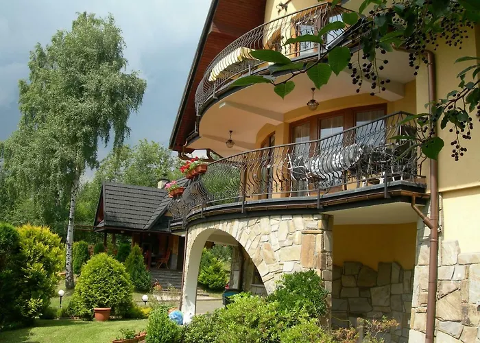 Alesandro 扎科帕内